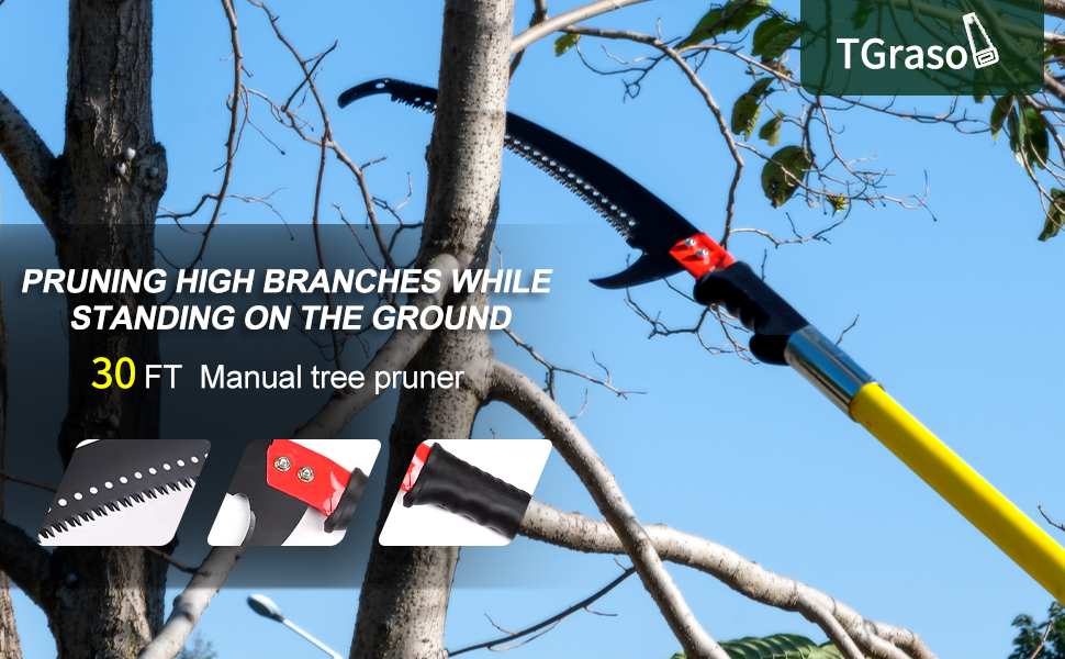 Stand on the ground and use a 30ft pole saw to prune tall branches