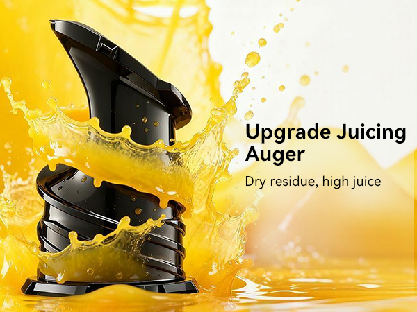 slow juicer