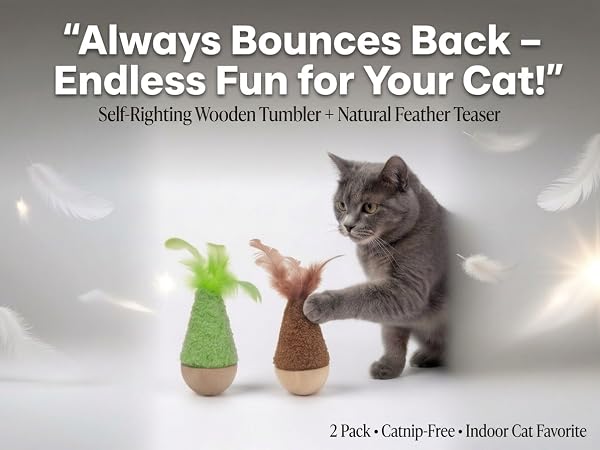 cat toys interactive