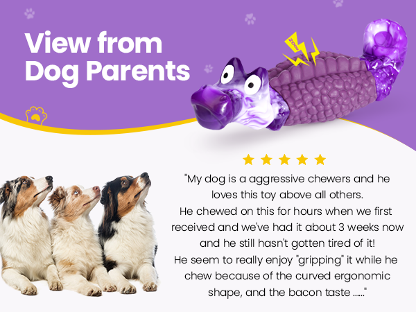 tough dog toys for aggressive chewers