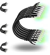 Rapink Patch Cables Cat6 1ft (24 Pack), Ethernet Patch Cable 10G, Cat 6 Patch Cable for Patch Pan...