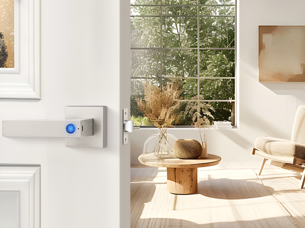 smart door handle