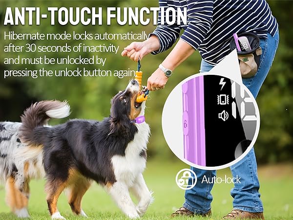 dog training collar