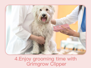 dog clipper