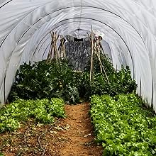 plant netting