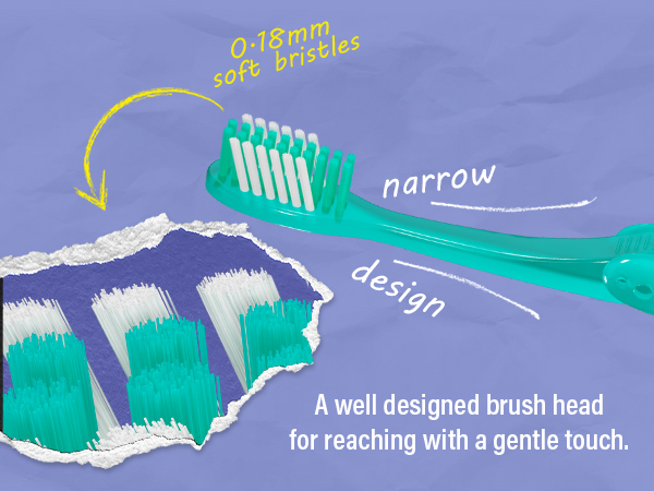 Folding Toothbrush & Toothpaste