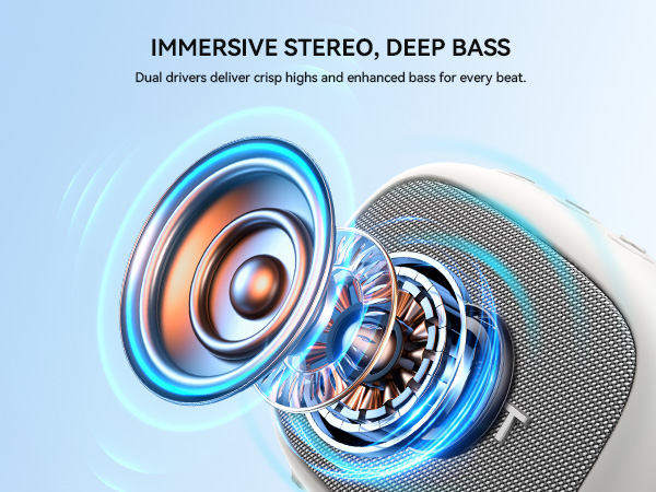 Portable Bluetooth Speaker