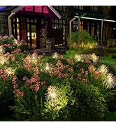 Honche 2 Pack Decorative Solar Outdoor Lights, Oval, WarmWhite, 8 Lighting Modes, Firework Lights...