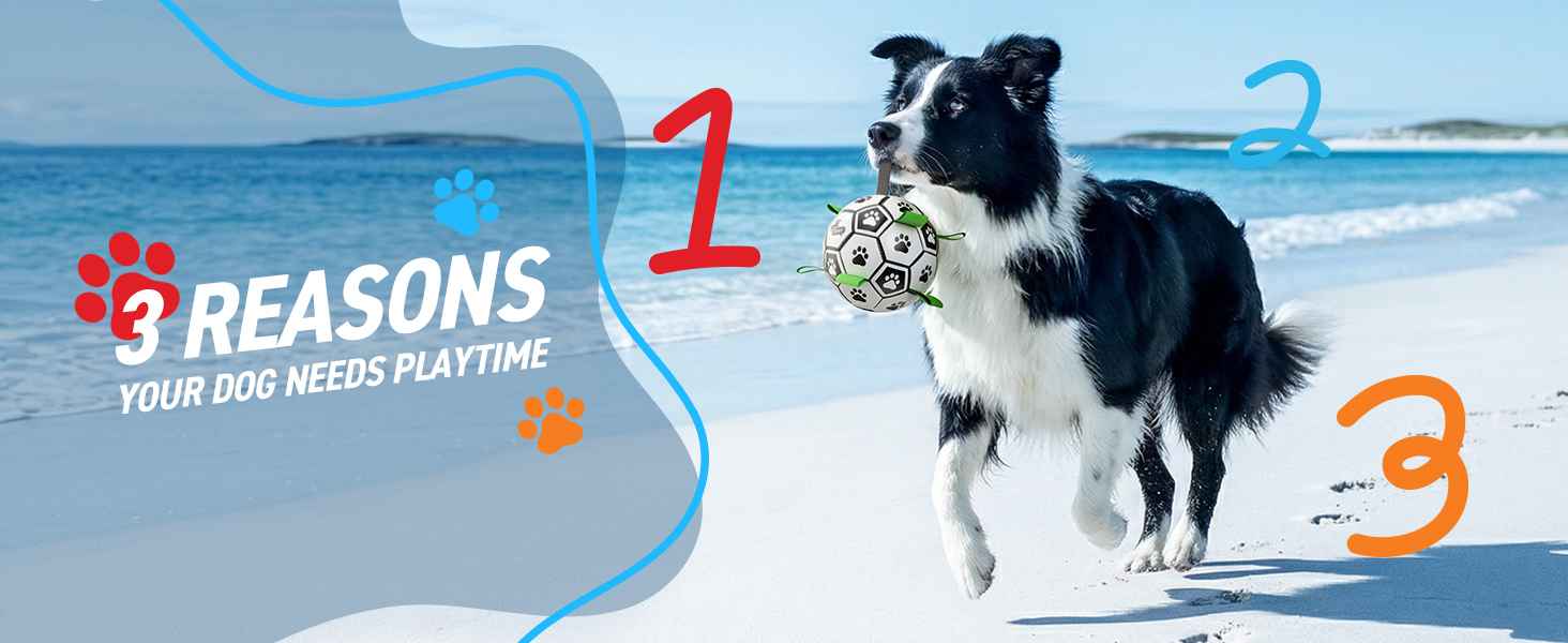 outdoor dog soccer balls