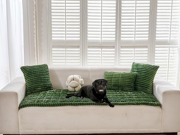 Green Couch Cover