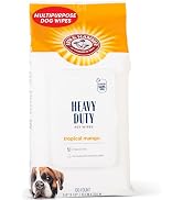 supply list hygiene products tear free anti fridge deodorizer odor absorbing cat accessories indoor