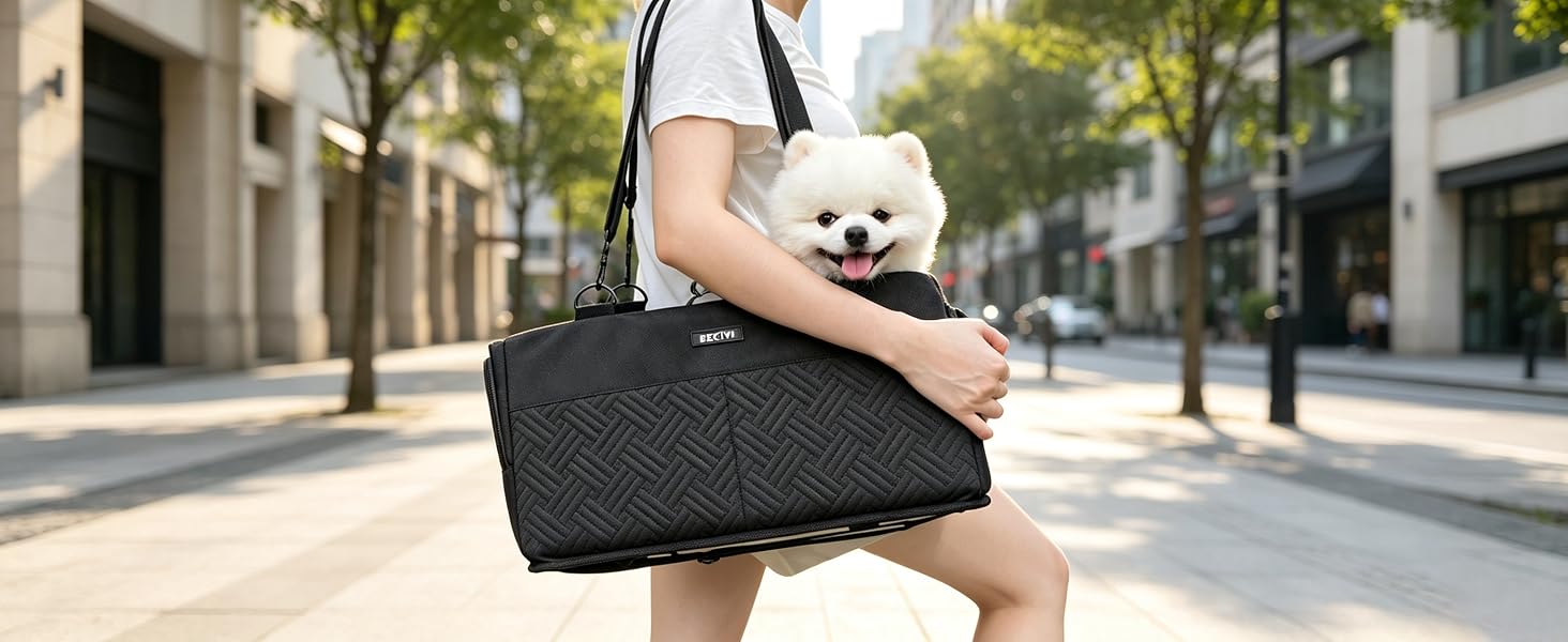 dog carseat