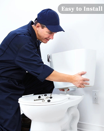 Toilet Bolts