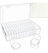 Bead Organizer Box, 60 Pack Small Clear Storage Boxes with Labels, Large Travel Craft Case with H...