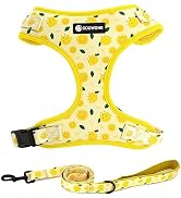 Dog Harness and Leash Set, Adjustable Dog Harness, Dog Leash, No Pull No Choke Puppy Harnesses fo...