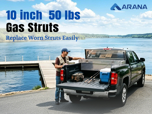 10 inch 50LB Gas Struts Shocks