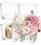 LDHHYH 4 Pack 6 x 6 x 6 Inch Square Glass Vases, Clear Square Vases for Centerpiece, Cube Flower ...