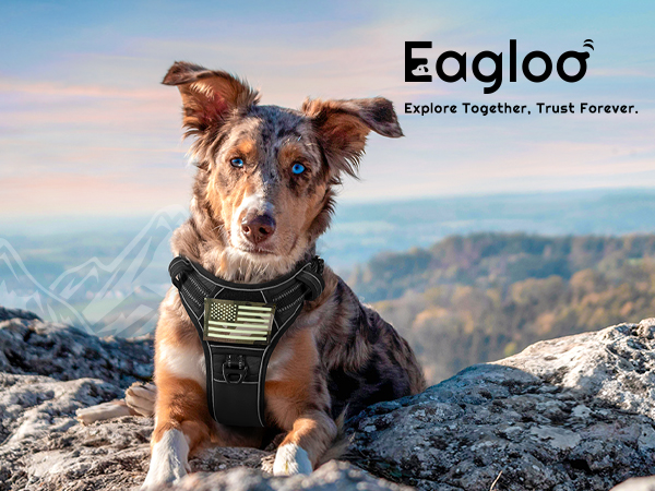 dog harness large size dog