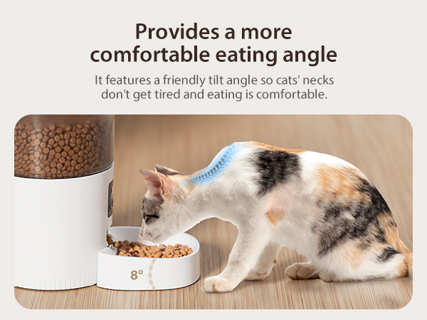automatic pet feeder