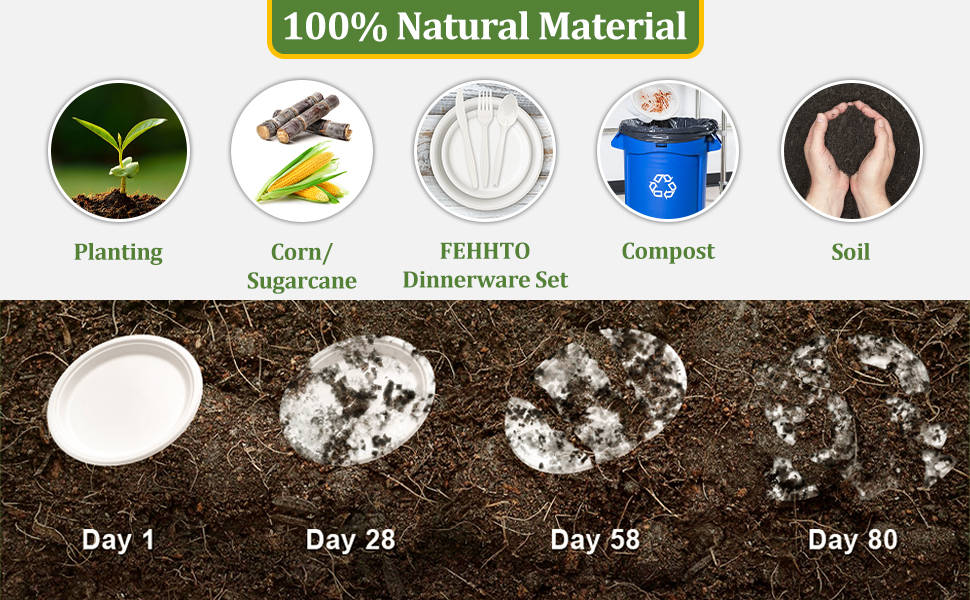 paper plate set natural material