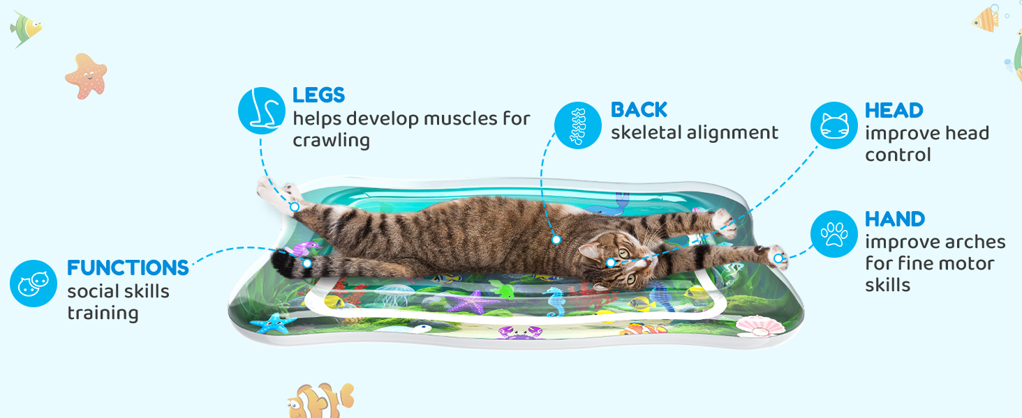 cat toys interactive