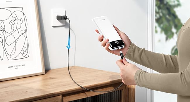 powerbanks