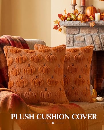 fall pillow covers