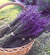 Lavender Flowers Bundles