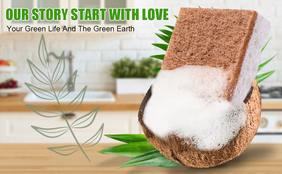 sustainable sponge