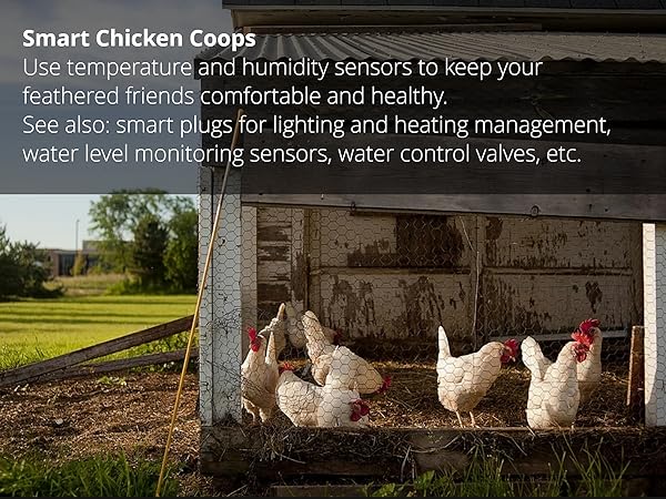 Smart Chicken Coops