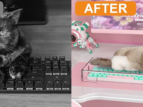 keyboard protector cat
