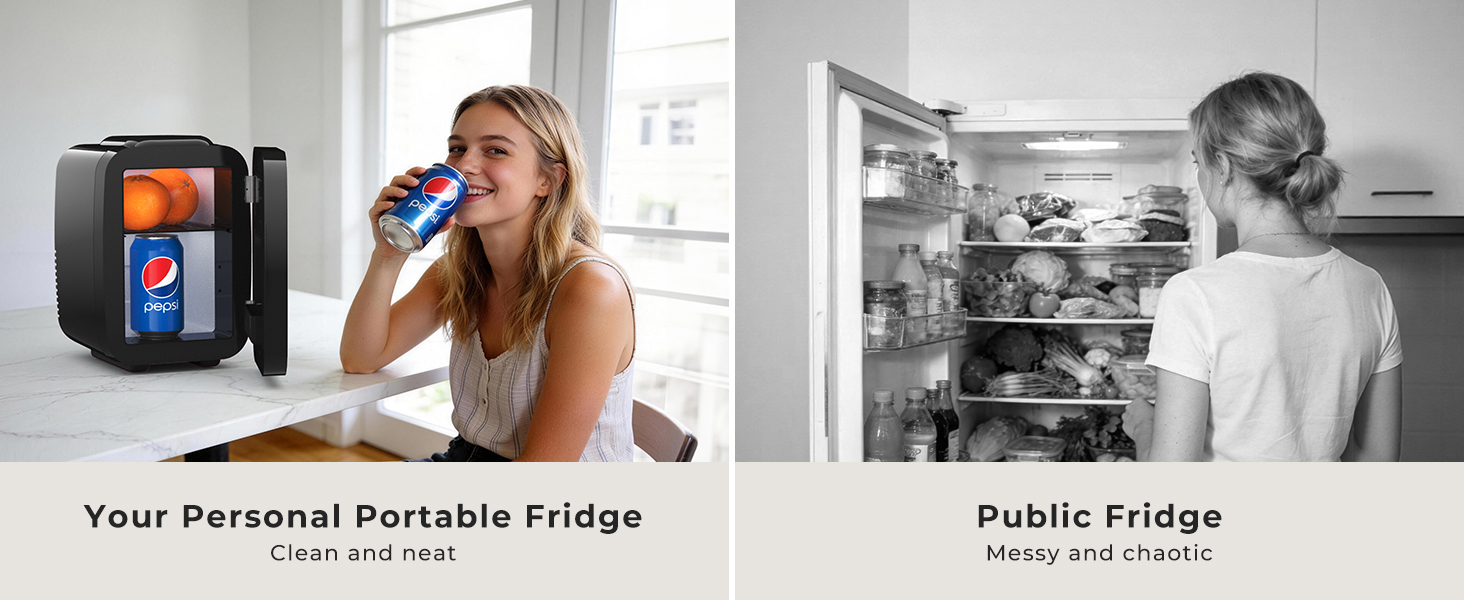 Personal Portable Fridge