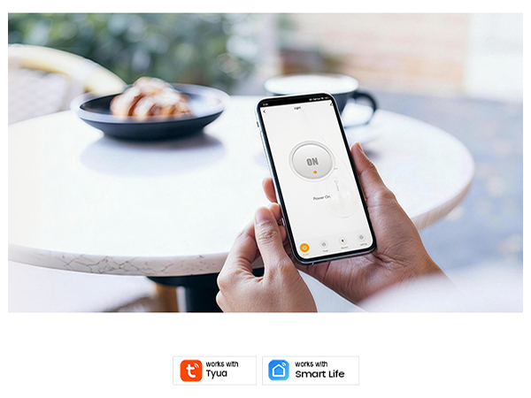 smart plug