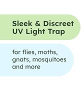 use nats and flying insects traps insect safer wall getting rid of mosquitoes indoors