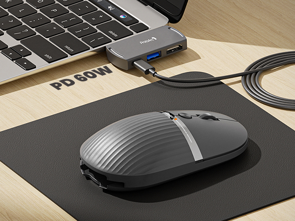hub mouse