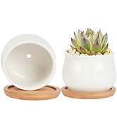 2 Pack Succulent Pots, 2.5 Inch Mini Ceramic Pots for Flower or Cactus Plants with Drainage Hole,...