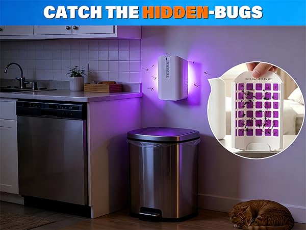 bug traps A+5 450