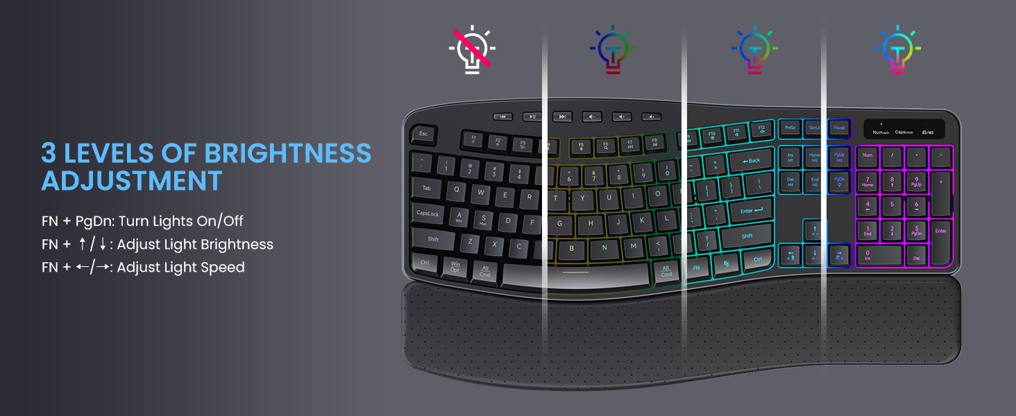 adjustable brightness