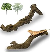Apatal Reptile Branch Decor 2 Pcs Snake Climbing Wood Branches Lizard Habitat Decorations Terrari...