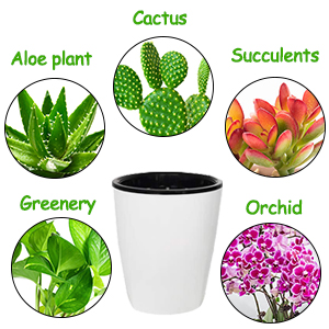 3 Plastic Planter with Inner Pot