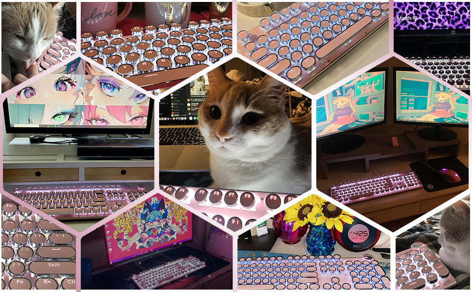 The physical picture of the product feedback from the buyers