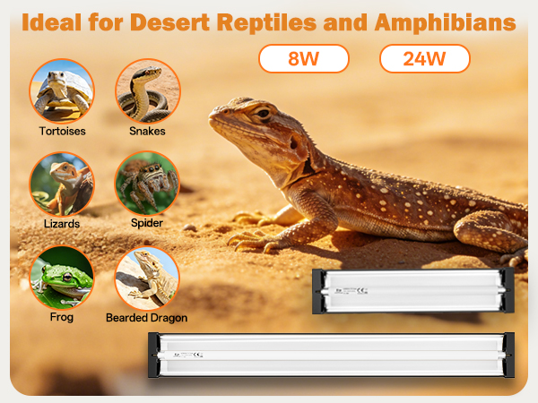 Bearded Dragon Tank Accessories, Tortoise Habitat, Desert Reptile Lighting.