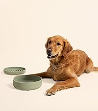 https://m.media-amazon.com/images/S/aplus-media-library-service-media/120eb539-a8b7-4145-8fc8-da0c42b81459.__CR0,0,2000,2250_PT0_SX200_V1___.jpg