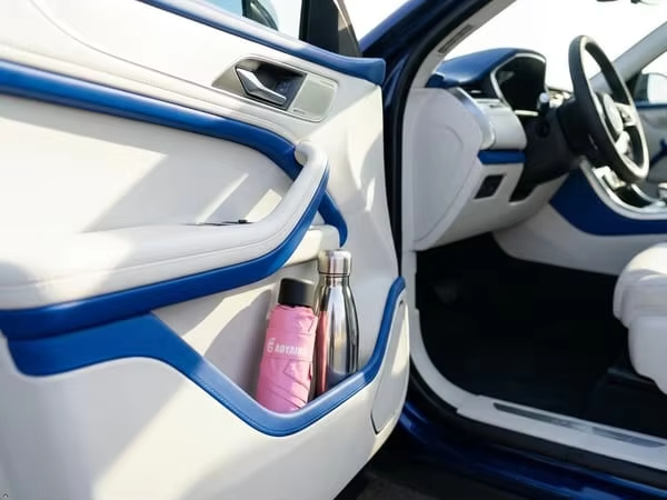 Car Door Pocket Organizer, Stainless Steel Water Bottle with Pink Umbrella Vehicle Storage Accessory
