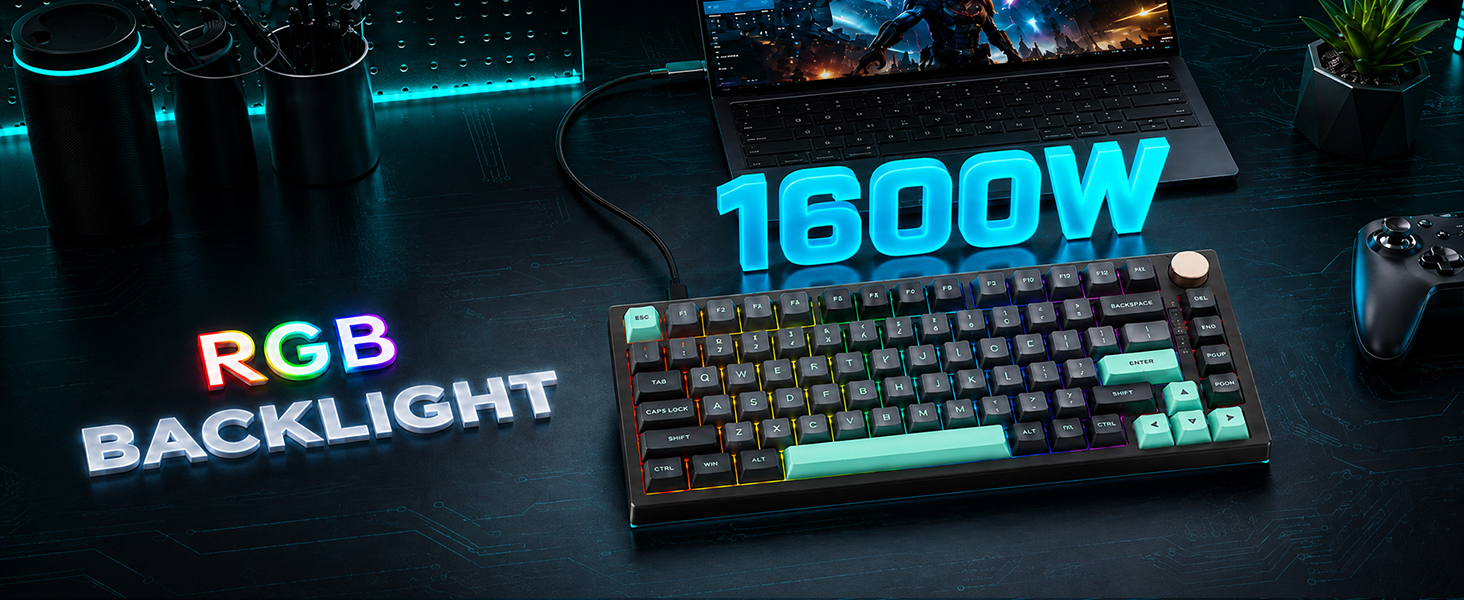 1600W RGB
