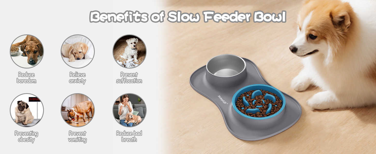 dog bowls small size dog, small dog bowls, slow feeder, slow feeder dog bowls large breed
