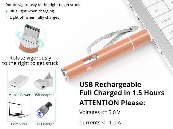 Rechargeable cat toy
