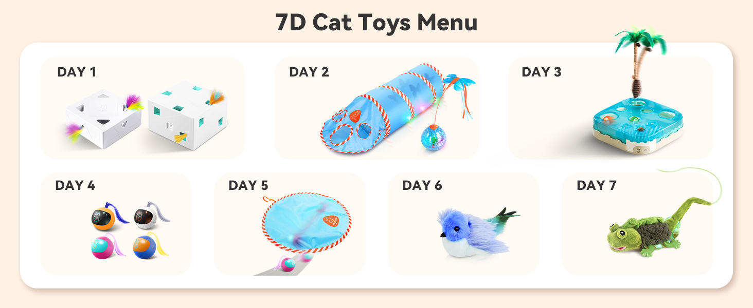 cat toy