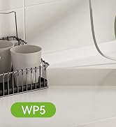 WP5