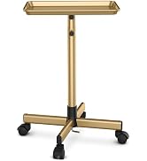 TASALON Premium Salon Tray on Wheels, Aluminum Salon Rolling Tray Trolley for Salon Essentials, A...